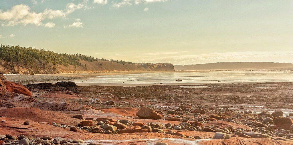 selective focus photography of burger patty, mayonnaise, and French fries served on platter