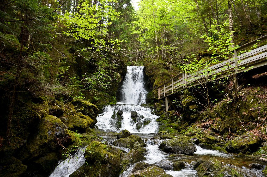 boat on dock near houses during daytime