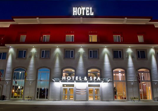 whale jumping above water