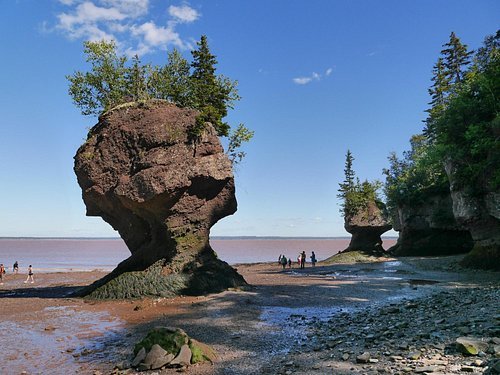 Home hopewell rocks